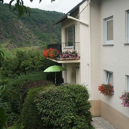 Fewo Goebel Beethovenstrasse Cochem Ngoại thất bức ảnh